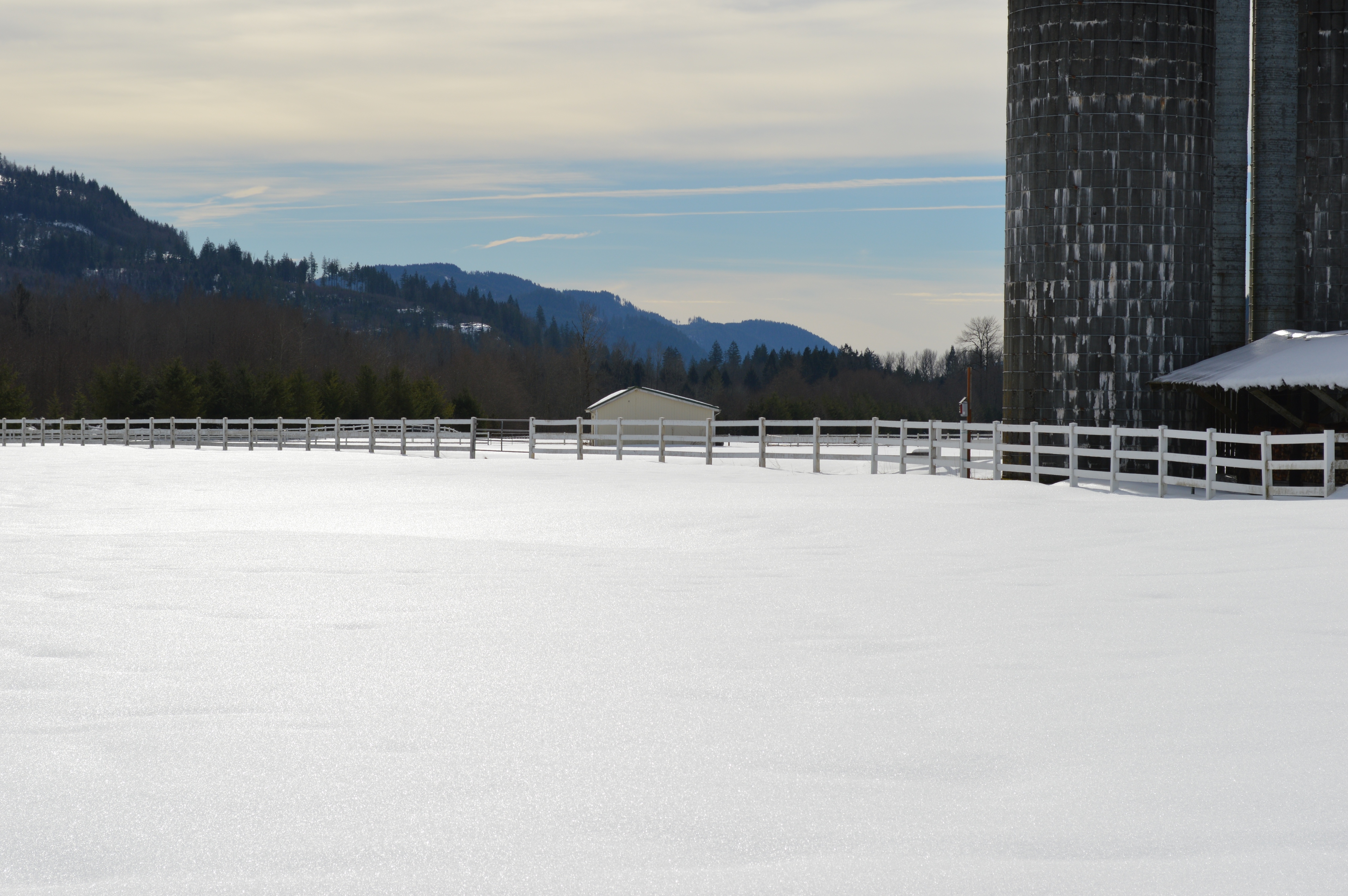 Bellingham Equestrian property with barn & stables for sale